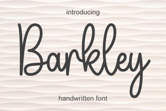 Barkley: The Handwritten Typeface That Transforms Digital Brand Experiences
