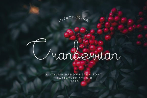 Cranberrian Font for Handmade Creations