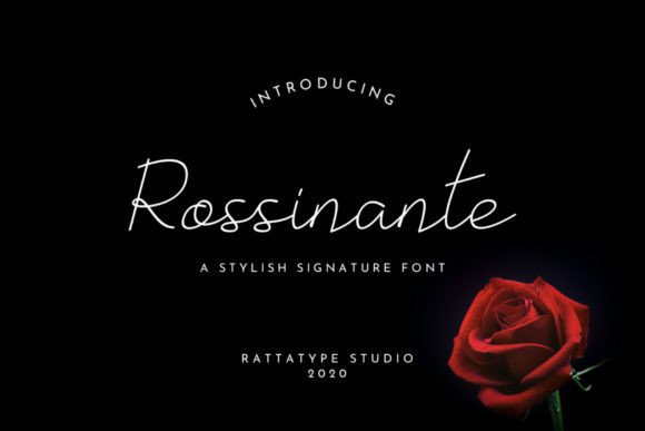 Designing with Rossinante: A Luxurious Script Font for Web Projects