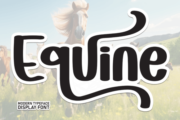 Equine: The Handwritten Typeface That Stops Scrolling