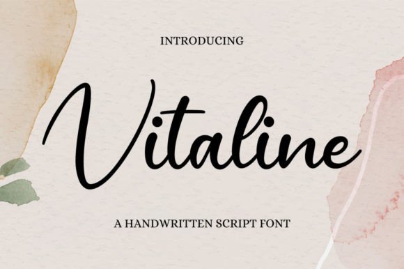 How Vitaline Font Transformed My Brand’s Visual Identity